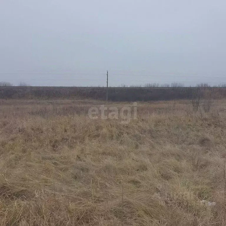 Участок в Курская область, Курский район, Рышковский сельсовет, ... - Фото 1