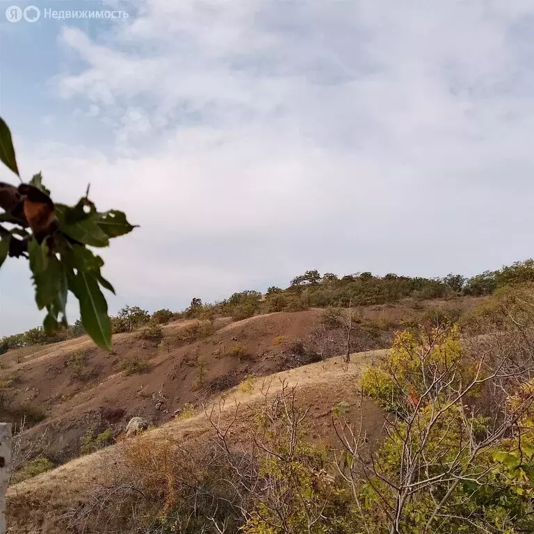 Участок в Рыбачье, Дачная улица (15.5 м) - Фото 2