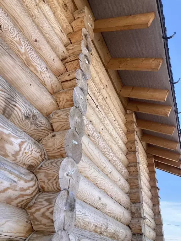 Дом в Пермский край, Пермский муниципальный округ, д. Луговая ... - Фото 1