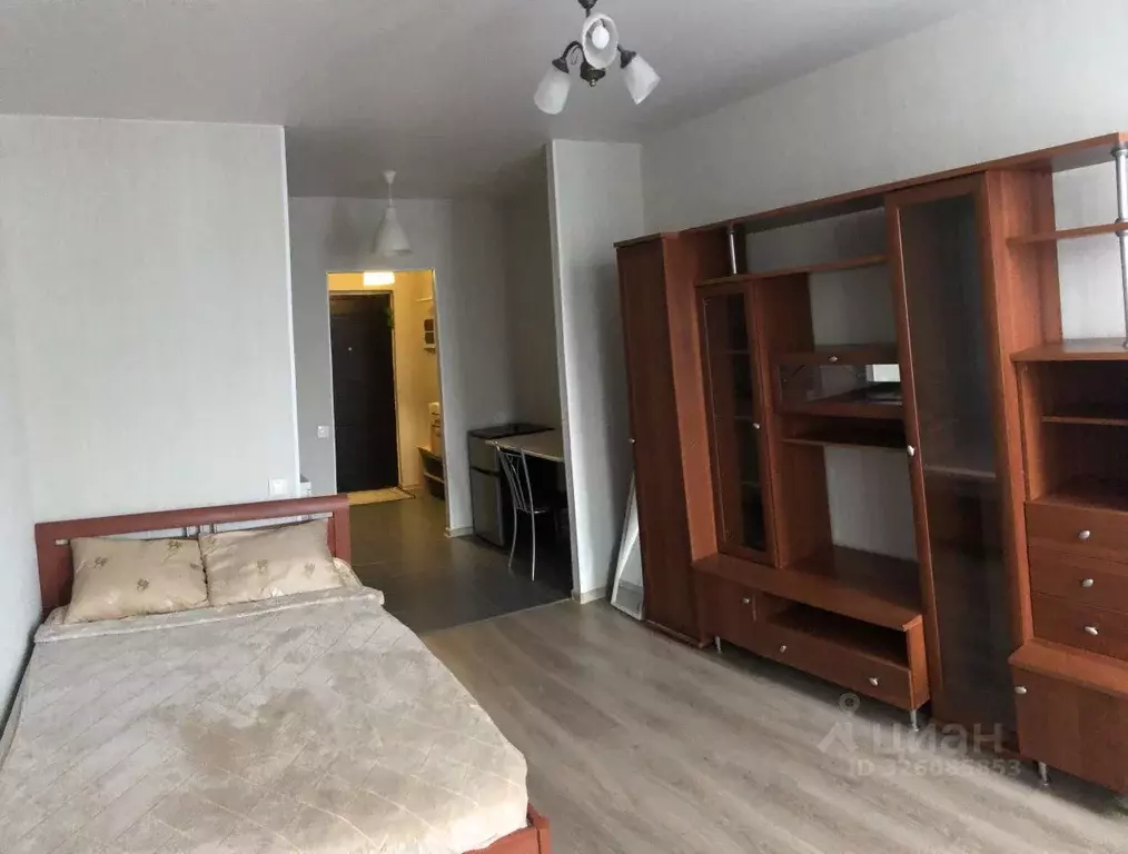 Студия Санкт-Петербург просп. Просвещения, 43 (26.0 м) - Фото 1