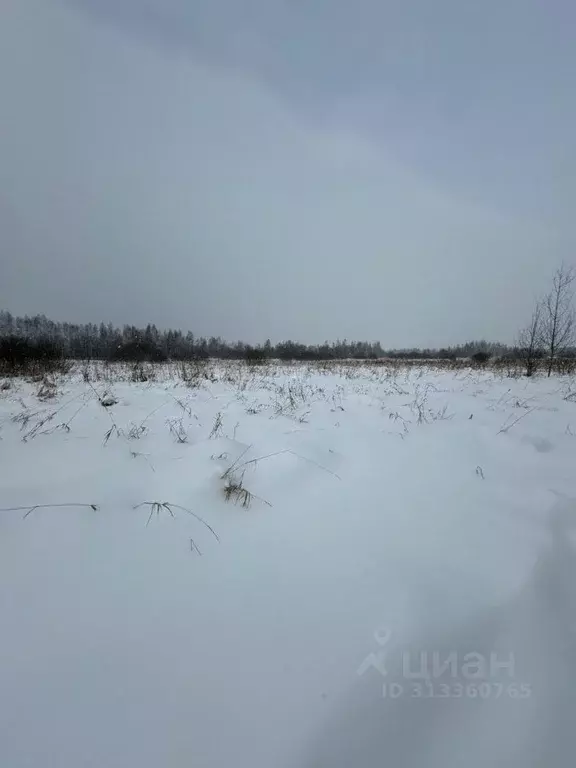 Участок в Московская область, Талдомский городской округ, д. Мякишево  ... - Фото 0