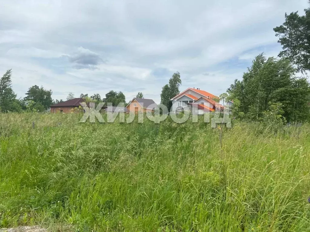 Участок в Новосибирская область, Новосибирский район, Станционный ... - Фото 2