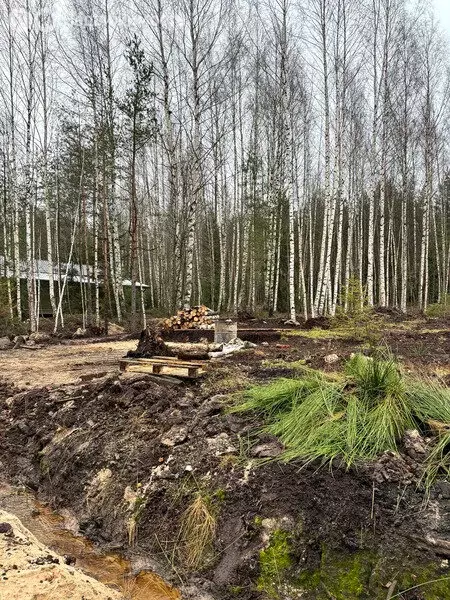 Участок в Ленинградская область, Всеволожск (7 м) - Фото 1