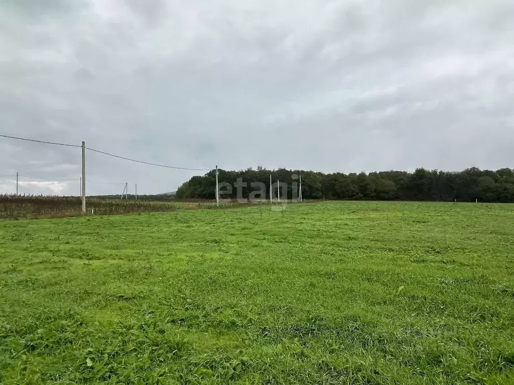Участок в Краснодарский край, Новороссийск городской округ, ... - Фото 0