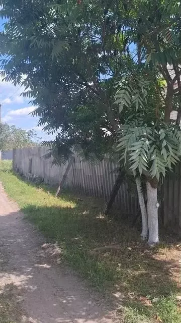 Дом 70 м на участке 9 сот. - Фото 1