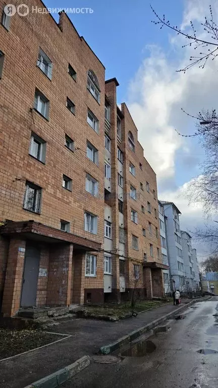 1-комнатная квартира: Нижний Новгород, Яблоневая улица, 14 (30.9 м) - Фото 1