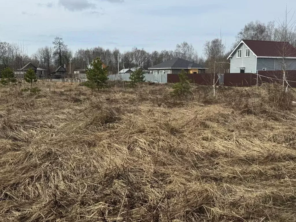 Участок в Московская область, Богородский городской округ, д. Меленки  ... - Фото 1