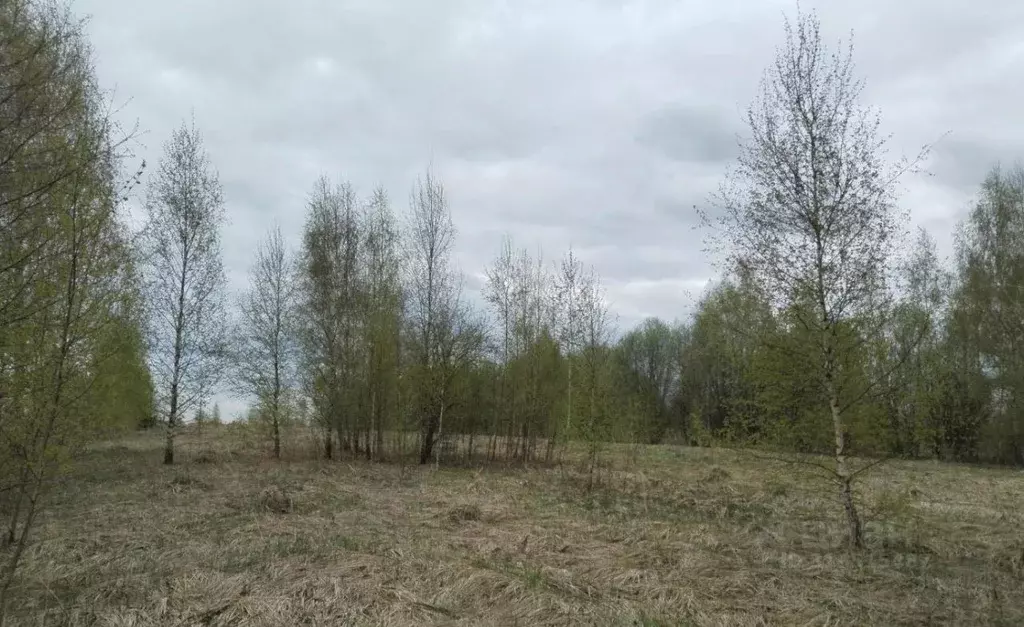 Участок в Московская область, Дмитровский муниципальный округ, д. ... - Фото 0