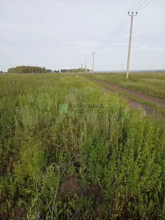 Участок 46 сот. (СНТ, ДНП) - Фото 0