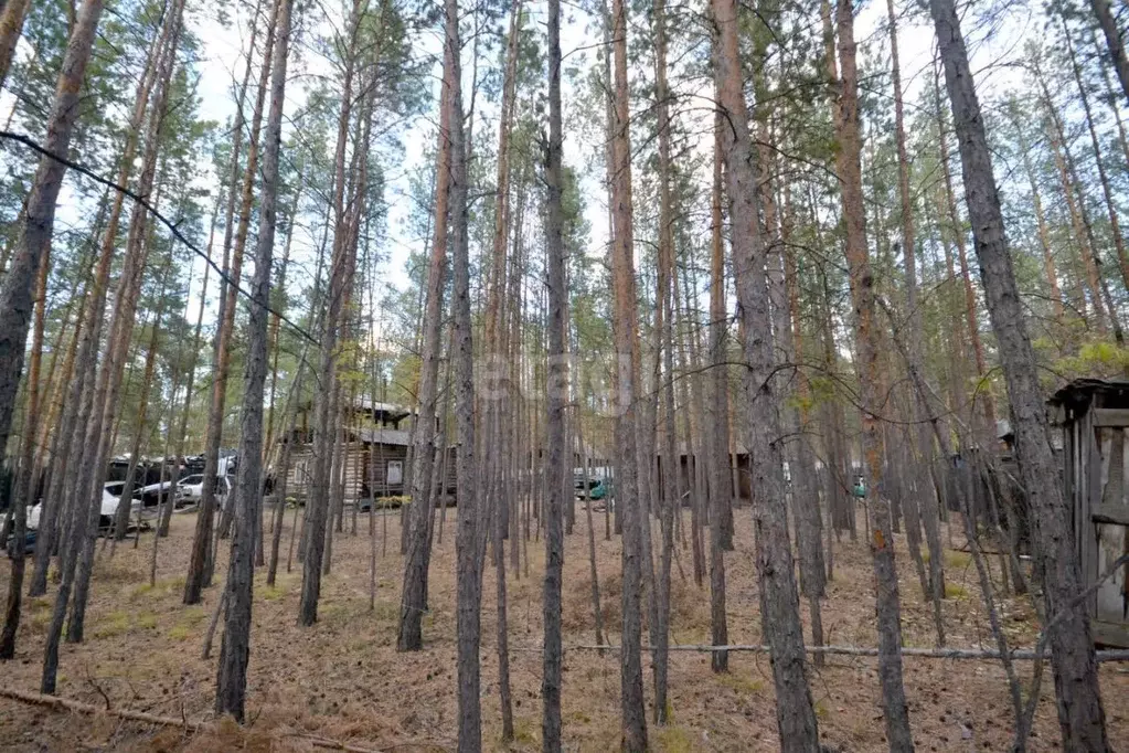 Участок в Саха (Якутия), Якутск ул. Кустук, 34/6 (12.8 сот.) - Фото 1
