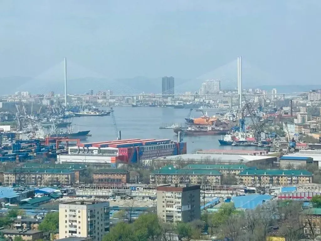 1-к кв. Приморский край, Владивосток Стрелковая ул., 18к1 (25.0 м) - Фото 1