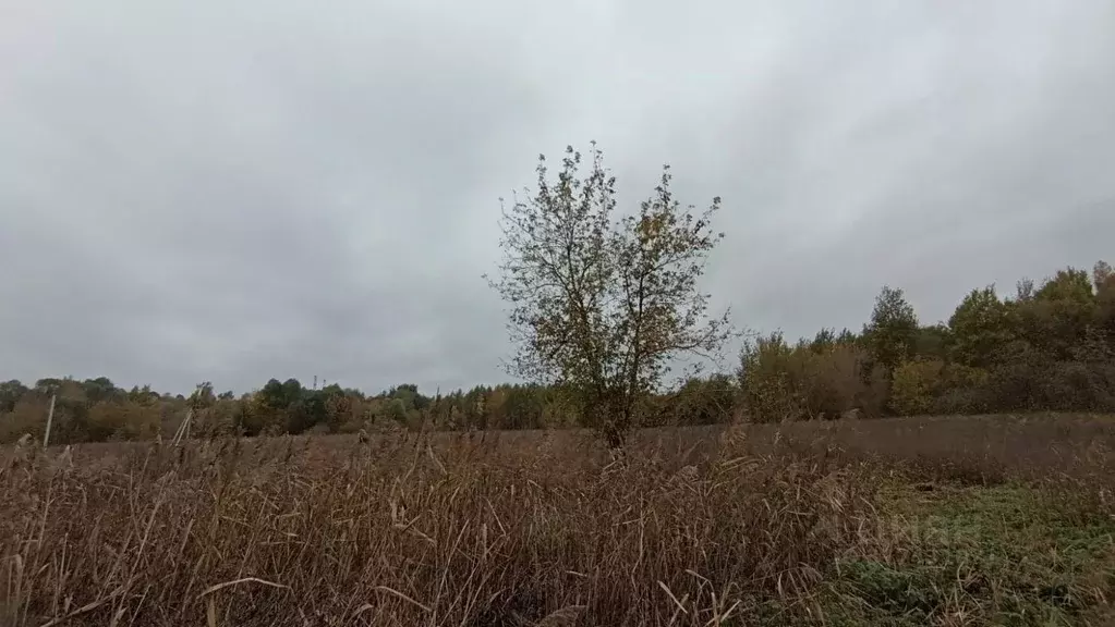 Участок в Московская область, Шатура  (30.0 сот.) - Фото 0