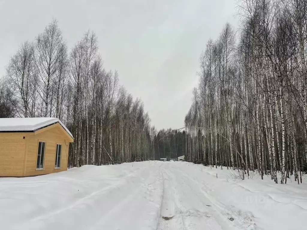 Участок в Московская область, Дмитровский муниципальный округ, ... - Фото 1