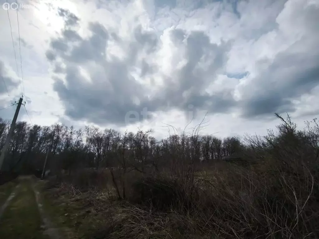 Участок в посёлок Верный Путь, садоводческое объединение Родничок (6 ... - Фото 2