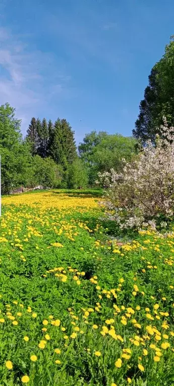 Участок в Тверская область, Конаковский муниципальный округ, д. ... - Фото 1
