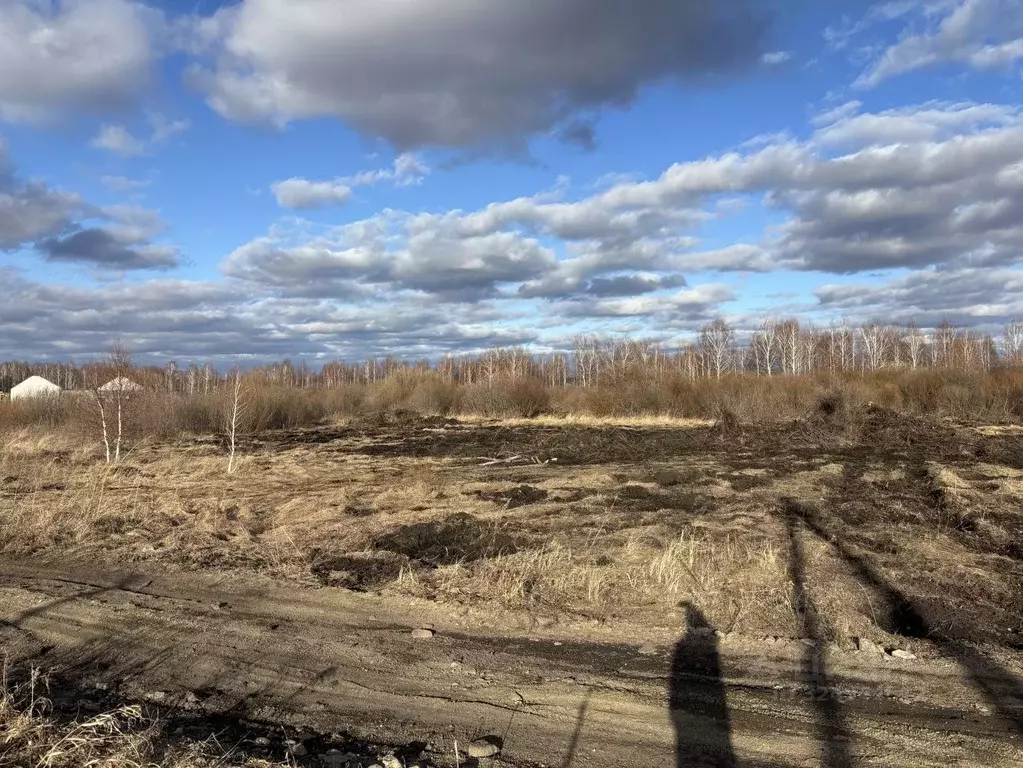 Участок в Челябинская область, Сосновский муниципальный округ, д. ... - Фото 1