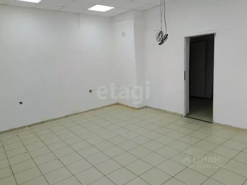 Помещение свободного назначения в Вологодская область, Грязовец ул. ... - Фото 1