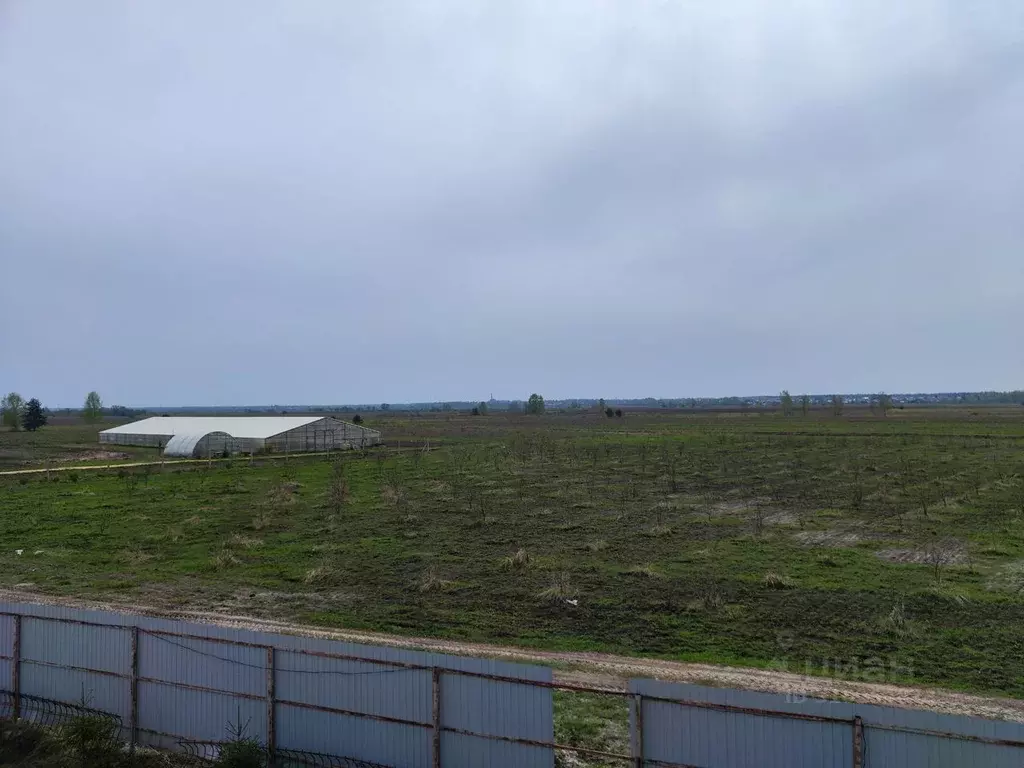 Участок в Московская область, Орехово-Зуевский городской округ, д. ... - Фото 0