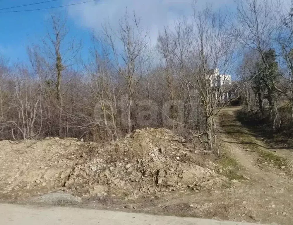 Участок в Краснодарский край, Новороссийск городской округ, Дюрсо СТ  ... - Фото 1