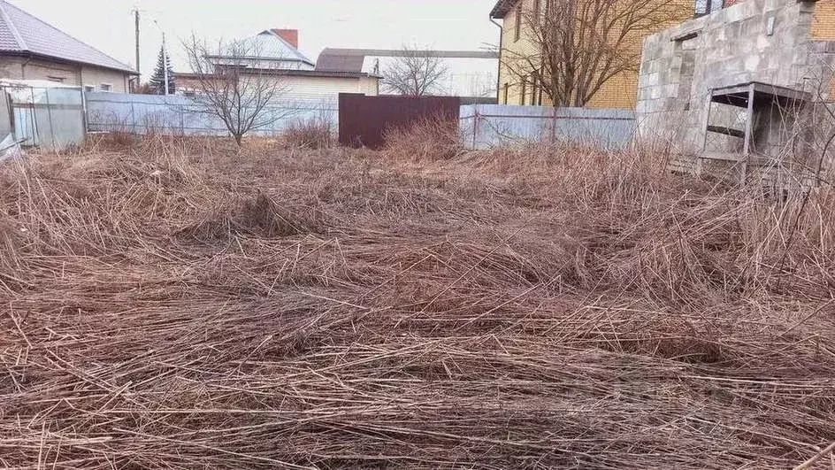 Участок в Брянская область, Брянский район, Снежское с/пос, с. ... - Фото 2