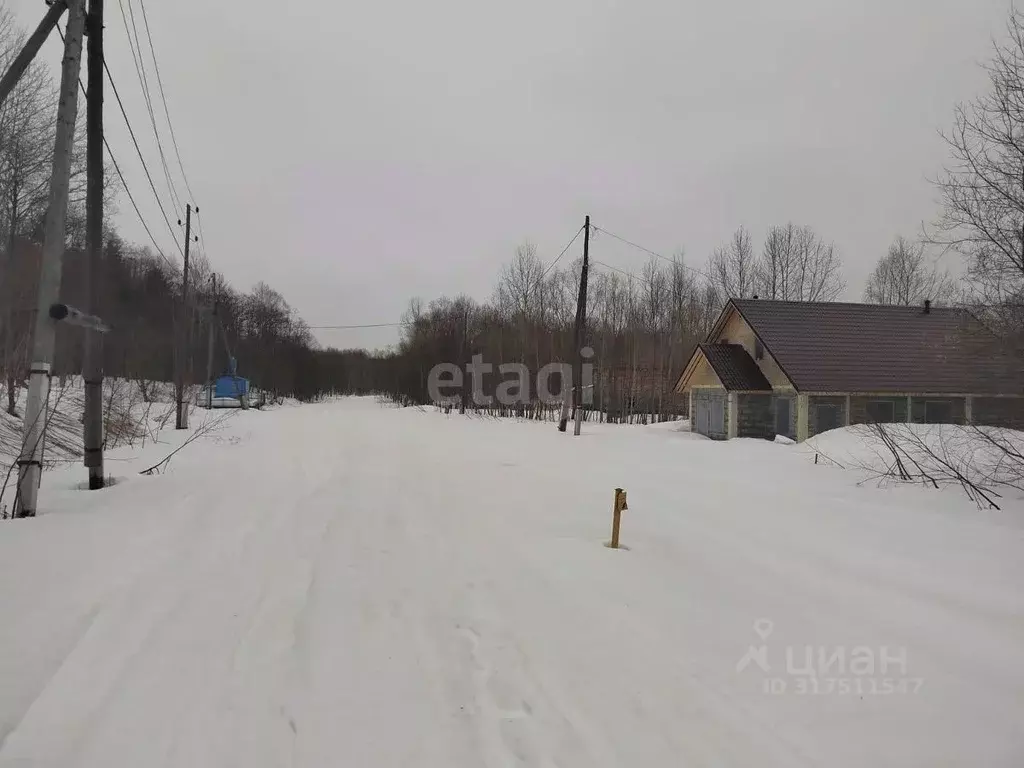 Участок в Сахалинская область, Южно-Сахалинск городской округ, с. ... - Фото 0