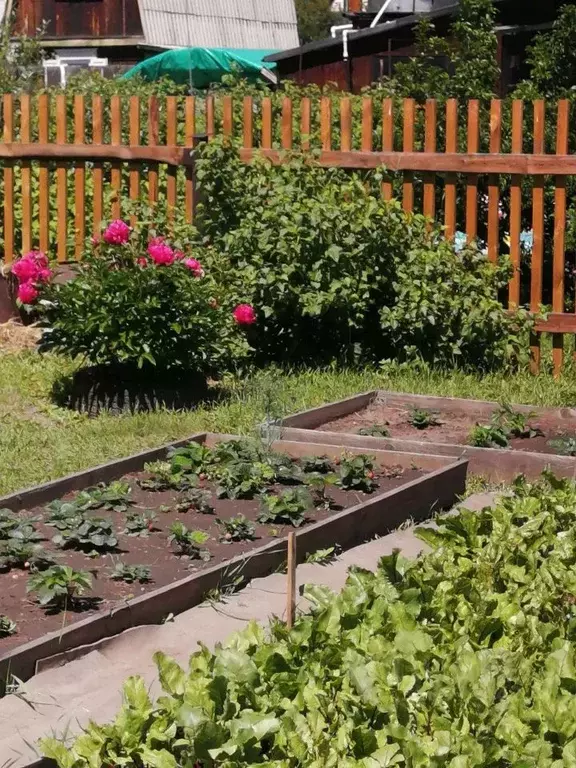 Дом в Бурятия, Прибайкальский район, Колос СНТ  (48 м) - Фото 0