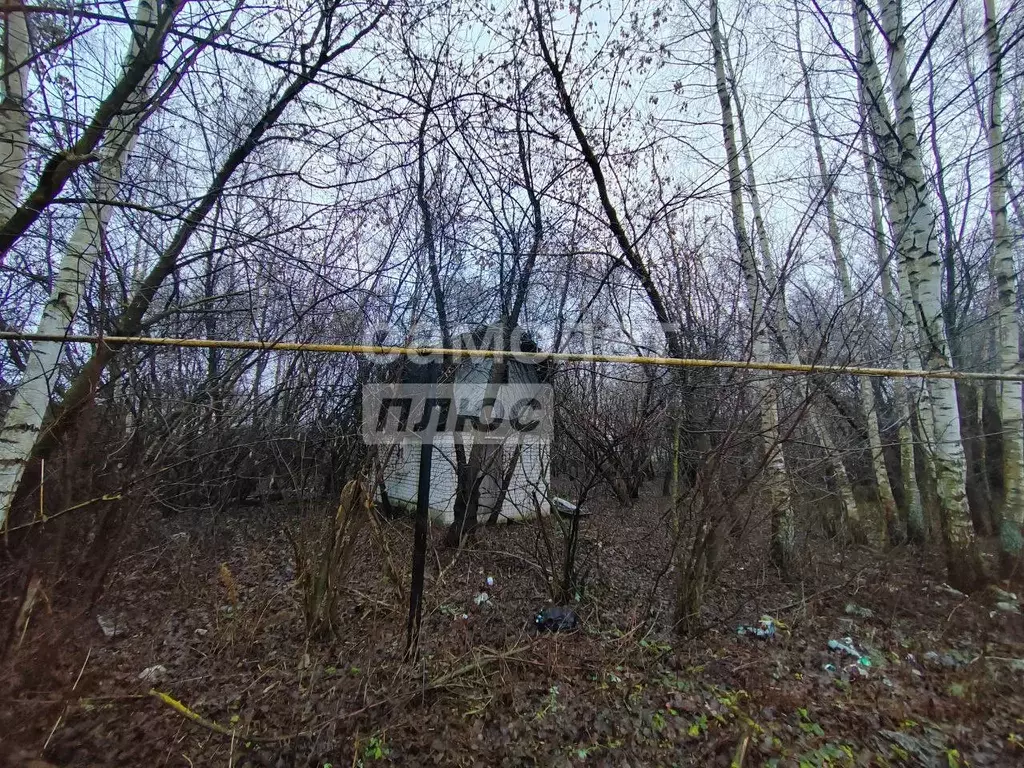 Участок в Нижегородская область, Бор Горелово мкр, 3-я ул. (10.0 сот.) - Фото 2