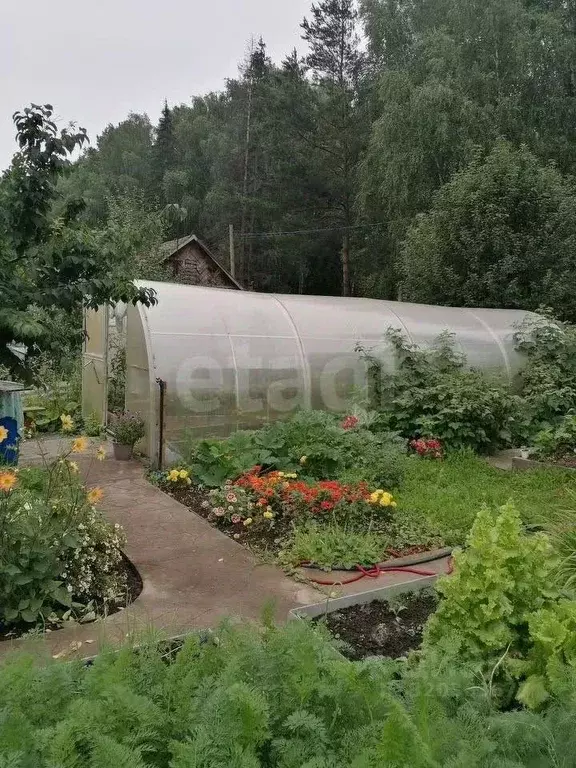 Дом в Свердловская область, Нижний Тагил № 3 ОАО НТМК СНТ, ул. Лесная, ... - Фото 0