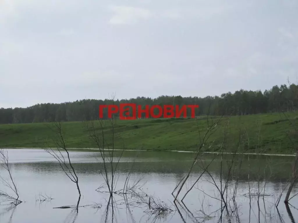 Участок в Новосибирская область, Мошковский район, с. Локти Советская ... - Фото 1