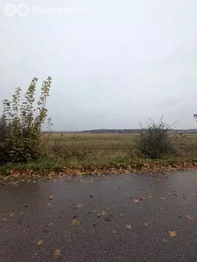 Участок в Калининградская область, Гурьевский муниципальный округ, ... - Фото 1