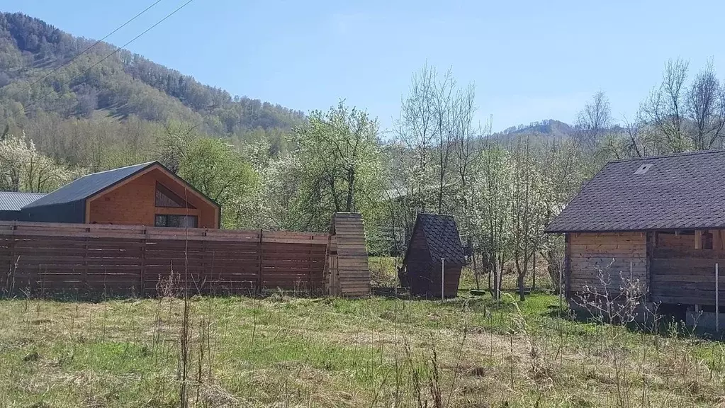 Участок в Алтай, Майминский район, Соузгинское с/пос, пос. Черемшанка ... - Фото 1