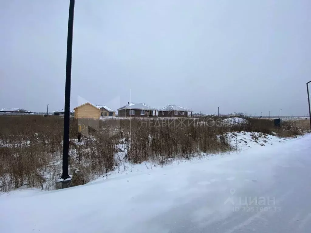 Участок в Тюменская область, Тюменский муниципальный округ, с. ... - Фото 1