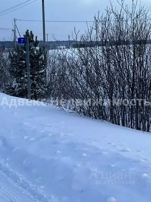 Участок в Тюменская область, Тюменский район, с. Кулига ул. ... - Фото 0