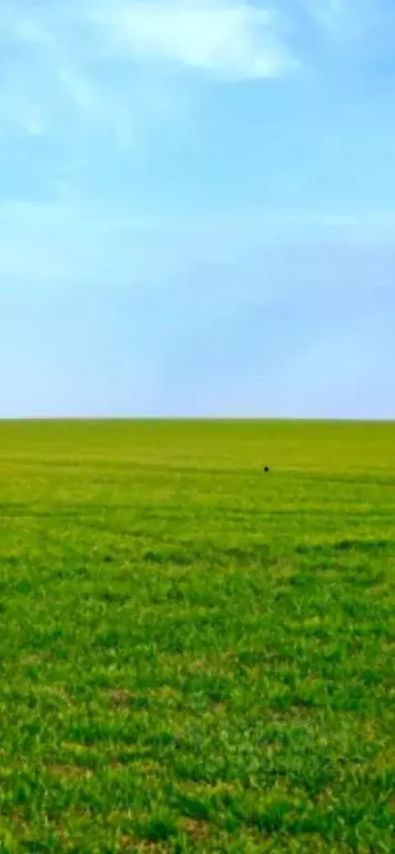 Участок в Калининградская область, Гурьевский муниципальный округ, ... - Фото 0