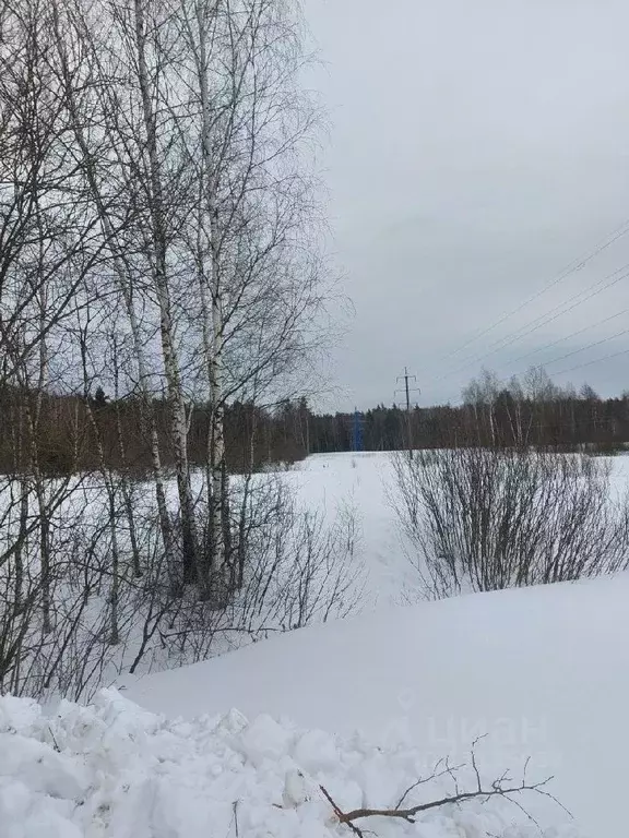 Участок в Московская область, Воскресенск городской округ, д. Губино ... - Фото 1