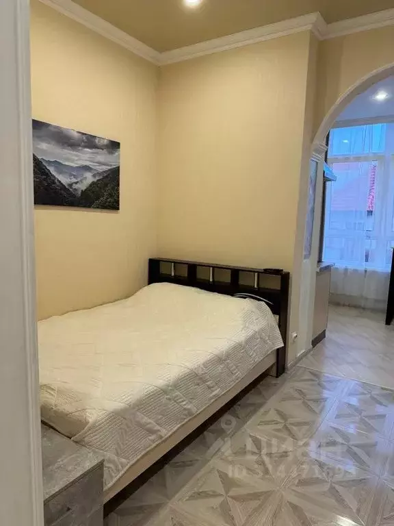 Студия Краснодарский край, Геленджик Крымская ул., 22к21 (31.0 м) - Фото 1