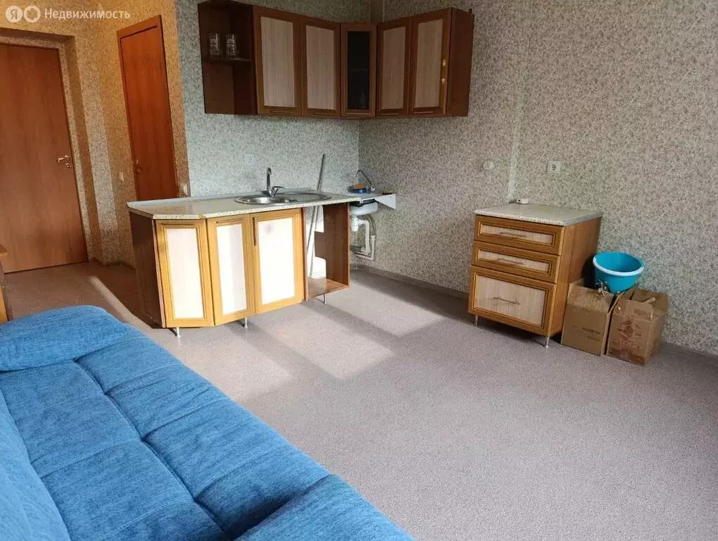Квартира-студия: Тольятти, улица Александра Кудашева, 96 (25.5 м) - Фото 0