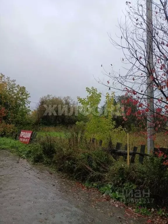 Участок в Томская область, Томск с. Дзержинское, ул. Сосновая (11.0 ... - Фото 1