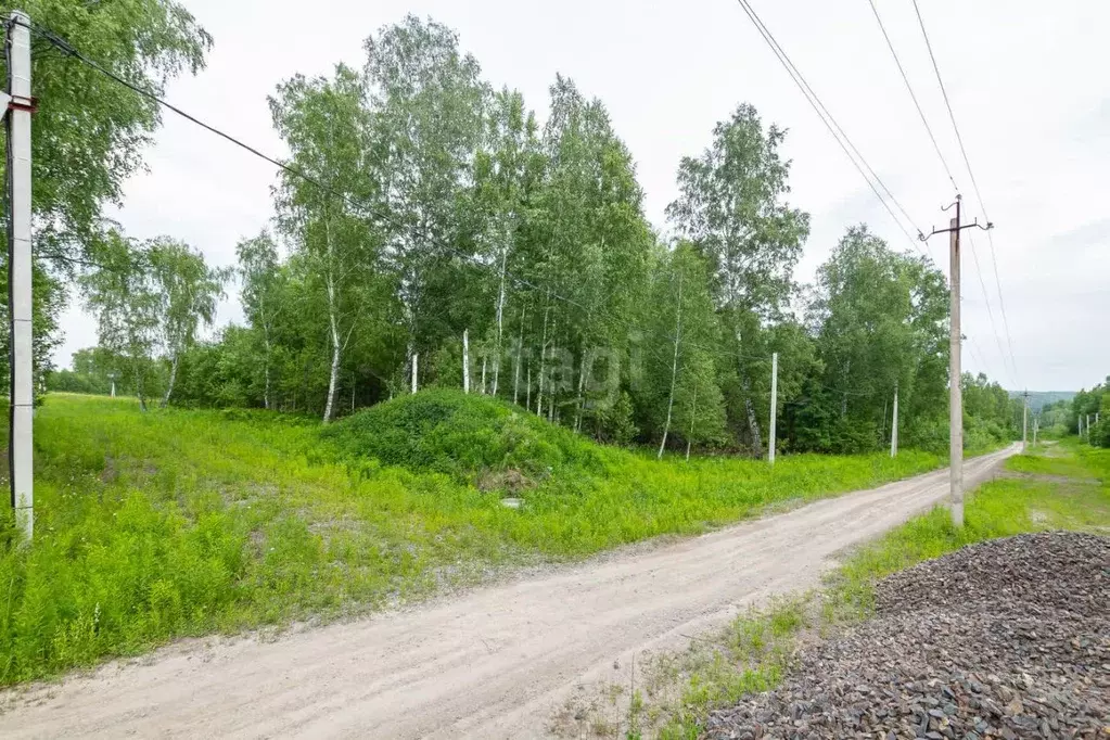 Участок в Новосибирская область, Новосибирский район, Барышевский ... - Фото 1