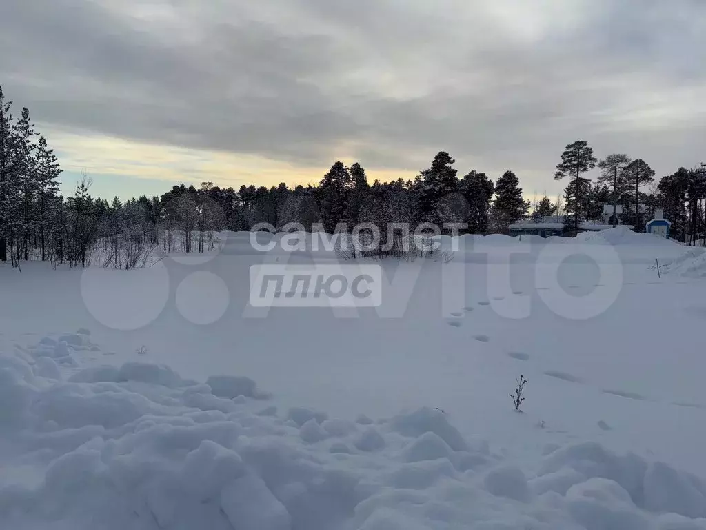 Участок 5 сот. (СНТ, ДНП) - Фото 0