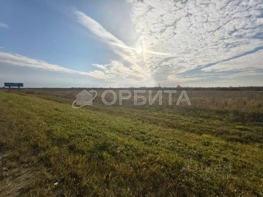 Участок в Тюменская область, Тюменский муниципальный округ, с. Щербак  ... - Фото 2