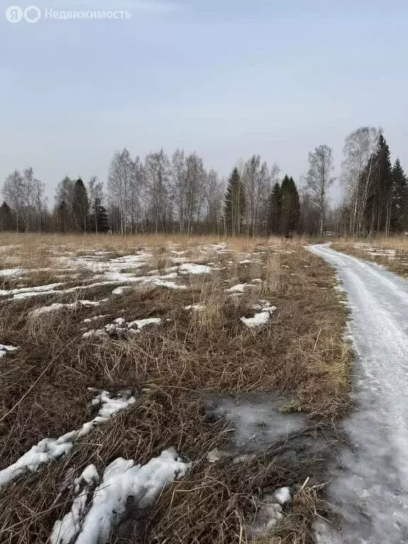 Участок в деревня Марфино, Прибрежная улица (14.6 м) - Фото 0
