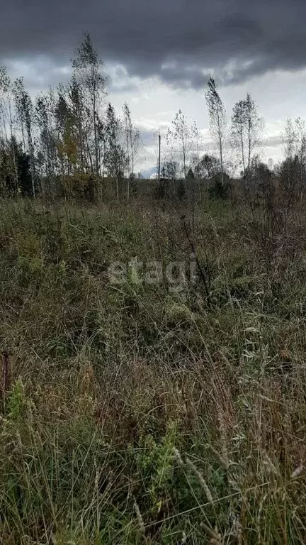 Участок в Томская область, Томский район, с. Семилужки Новая ул. (15.3 ... - Фото 1