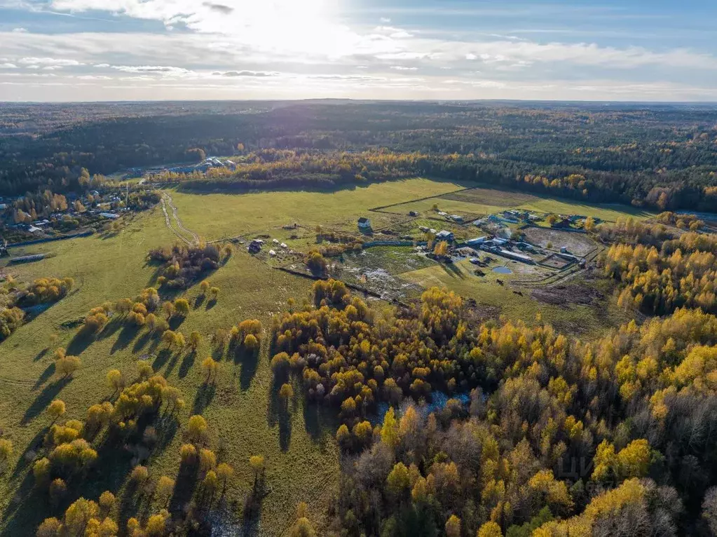 Участок в Ленинградская область, Всеволожский район, Куйвозовское ... - Фото 1