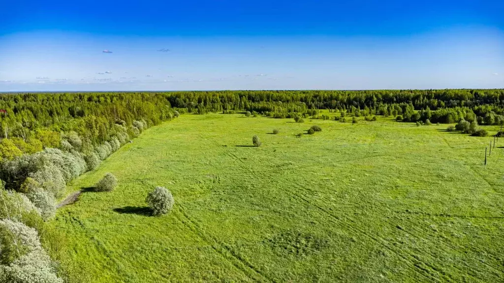 Участок в Ленинградская область, Всеволожский район, Рахьинское ... - Фото 1