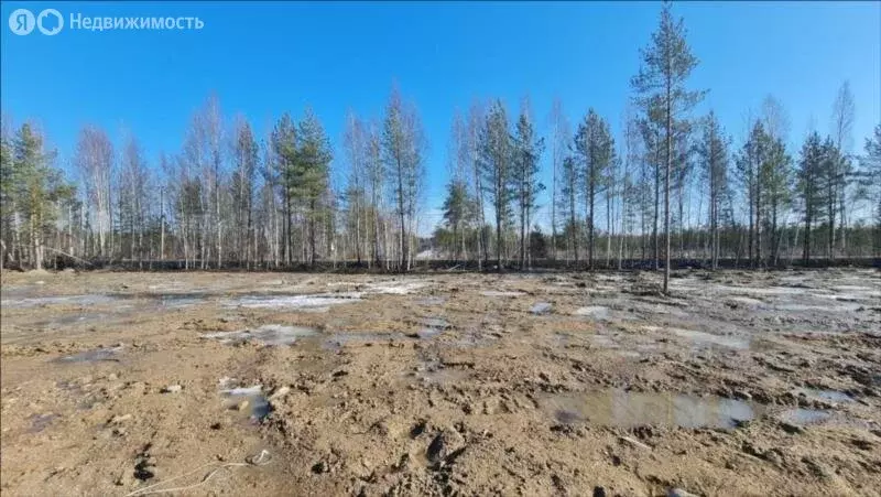 Участок в Ленинградская область, Всеволожское городское поселение, ... - Фото 2