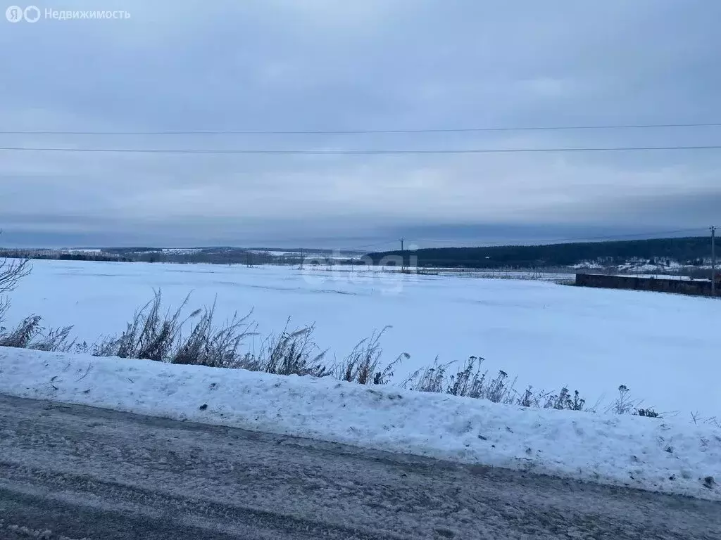 Участок в Нижегородская область, Дальнеконстантиновский муниципальный ... - Фото 0