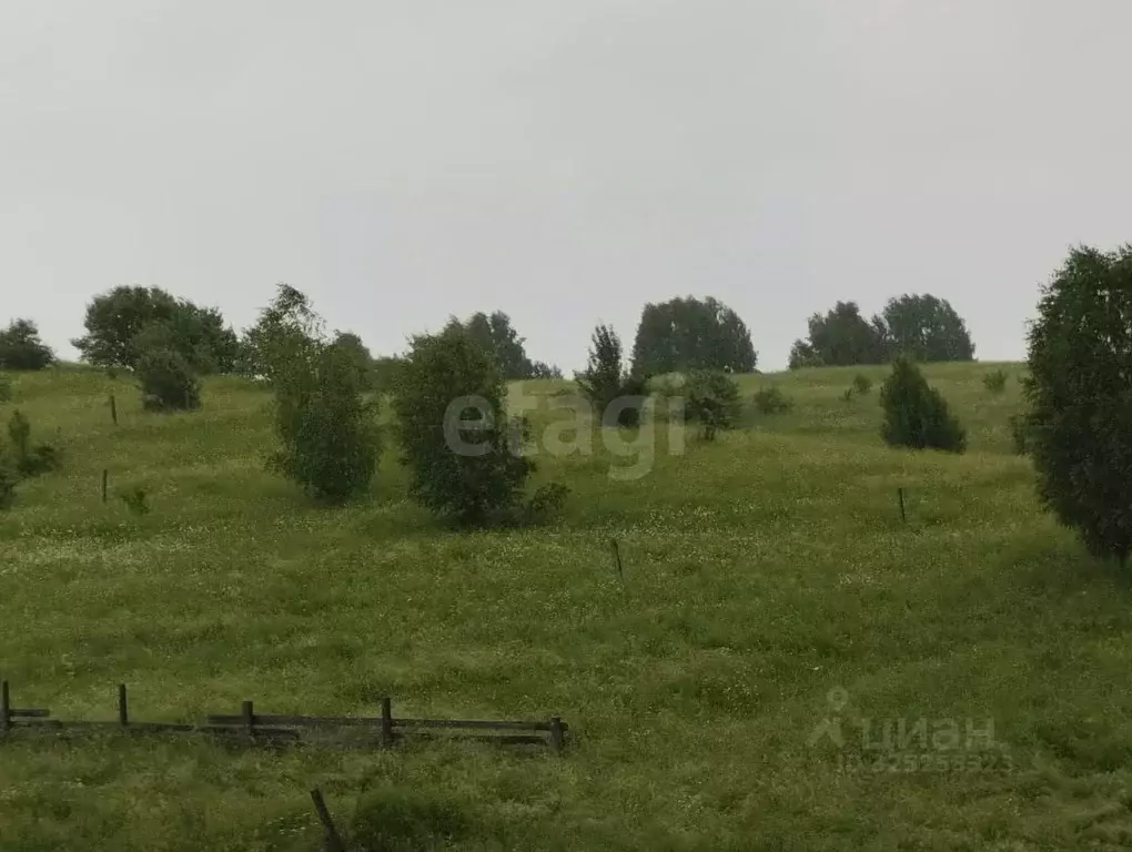 Участок в Алтай, Майминский район, с. Кызыл-Озек ул. С.С. Суразакова, ... - Фото 1