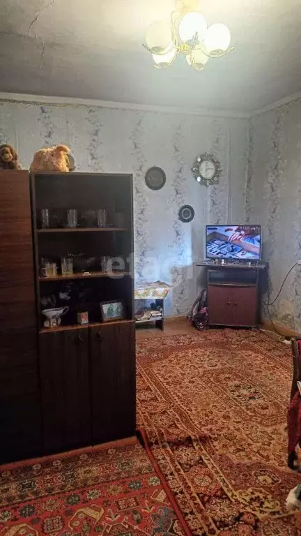 Дом в Амурская область, с. Ивановка ул. Северная, 19 (33 м) - Фото 2