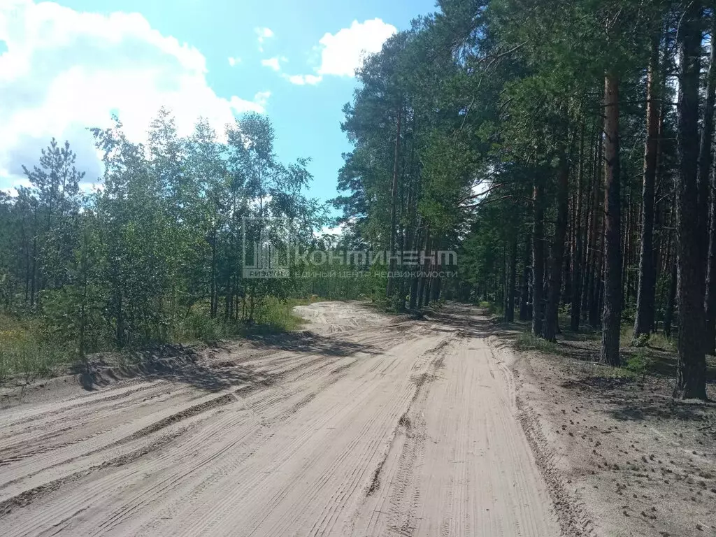 Участок в Владимирская область, муниципальное образование Петушинское, ... - Фото 0